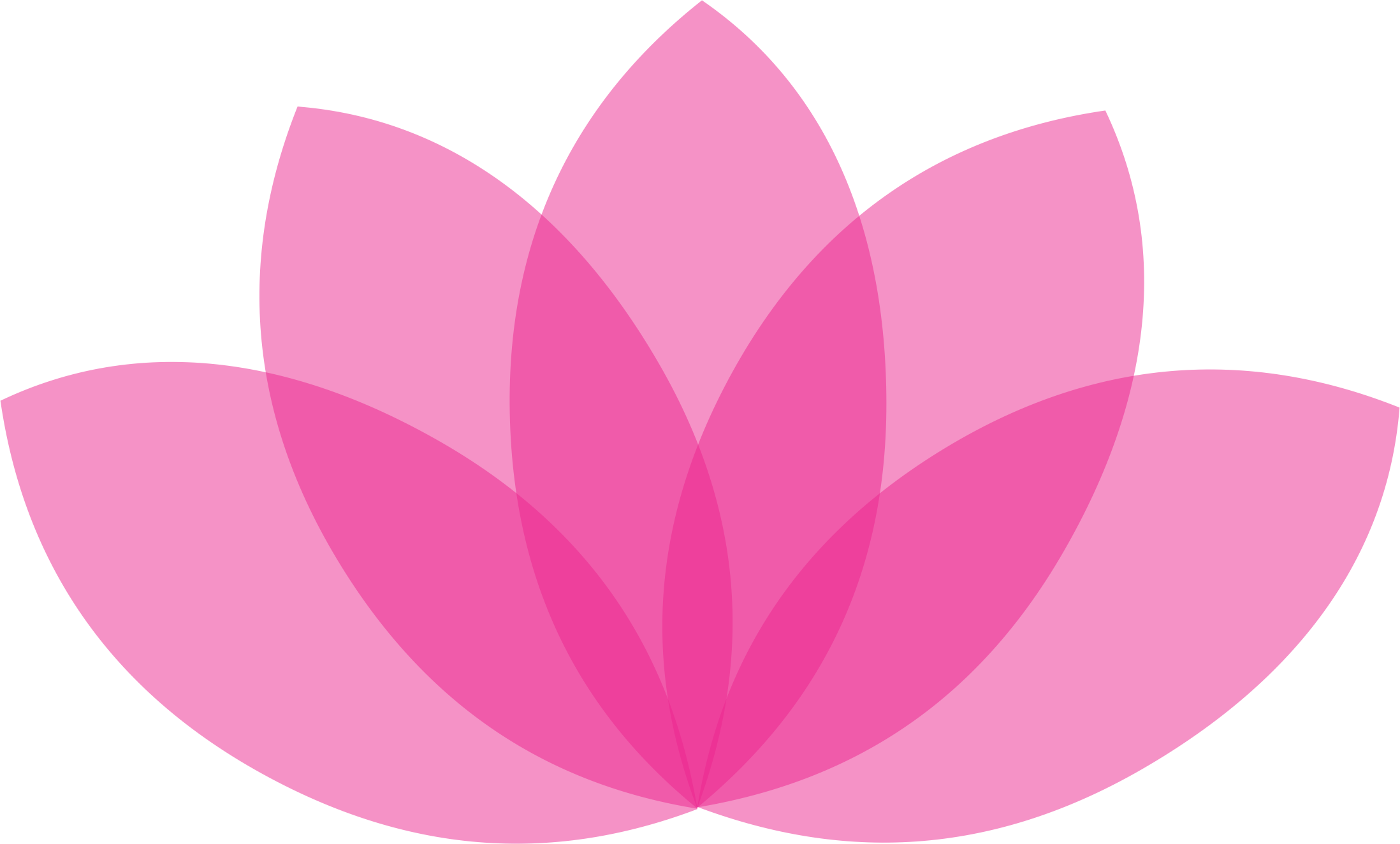 Lotus impex